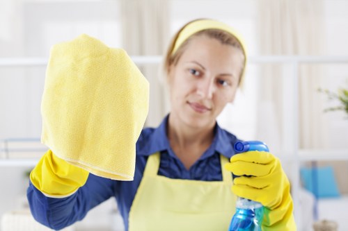 Cleaning professional maintaining a tidy Richmond upon Thames home