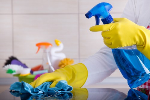 Professional one off cleaning for a Richmond upon Thames home