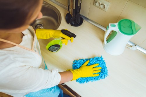 Professional pet stain and odour treatment for carpets in a Richmonduponthames home