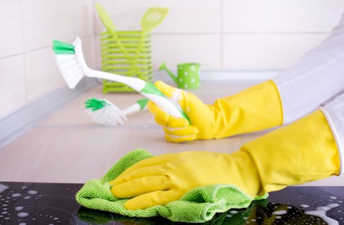 Reviewing a cleaning issue and service notes during a complaint process
