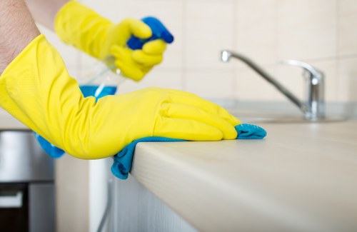 Local cleaning team assessing a pet accident on upholstery in Richmond