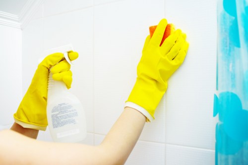 Oven cleaning service for domestic and commercial kitchens in the Richmond area