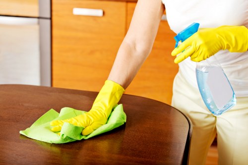 Residential and commercial gutter cleaning service in Richmond upon Thames